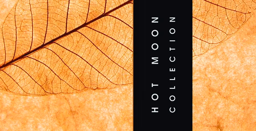 Hot Moon Collection business card design with leaf pattern