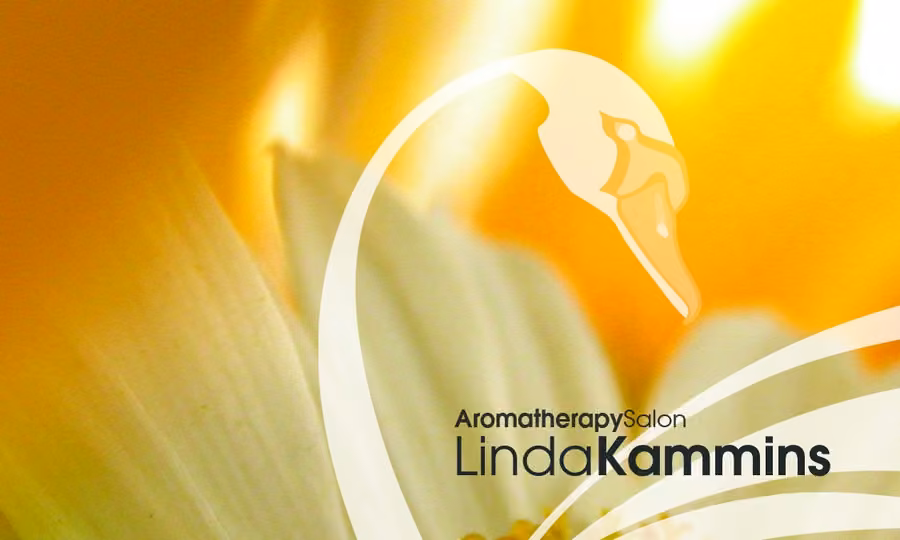 Linda Kammins Aromatherapy Salon brand mark design