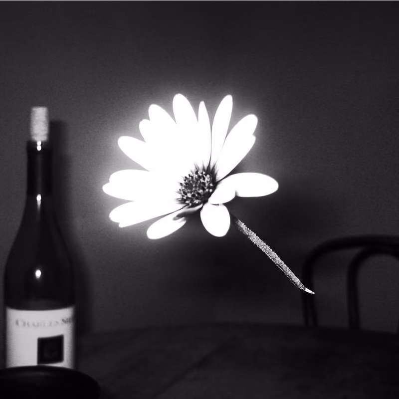 Black and white still life photograph of a wine bottle and flower